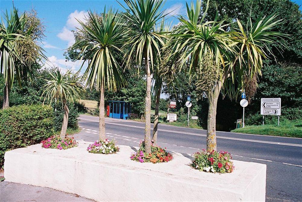 Crossways & Sea View Holiday Apartments Torquay Ngoại thất bức ảnh